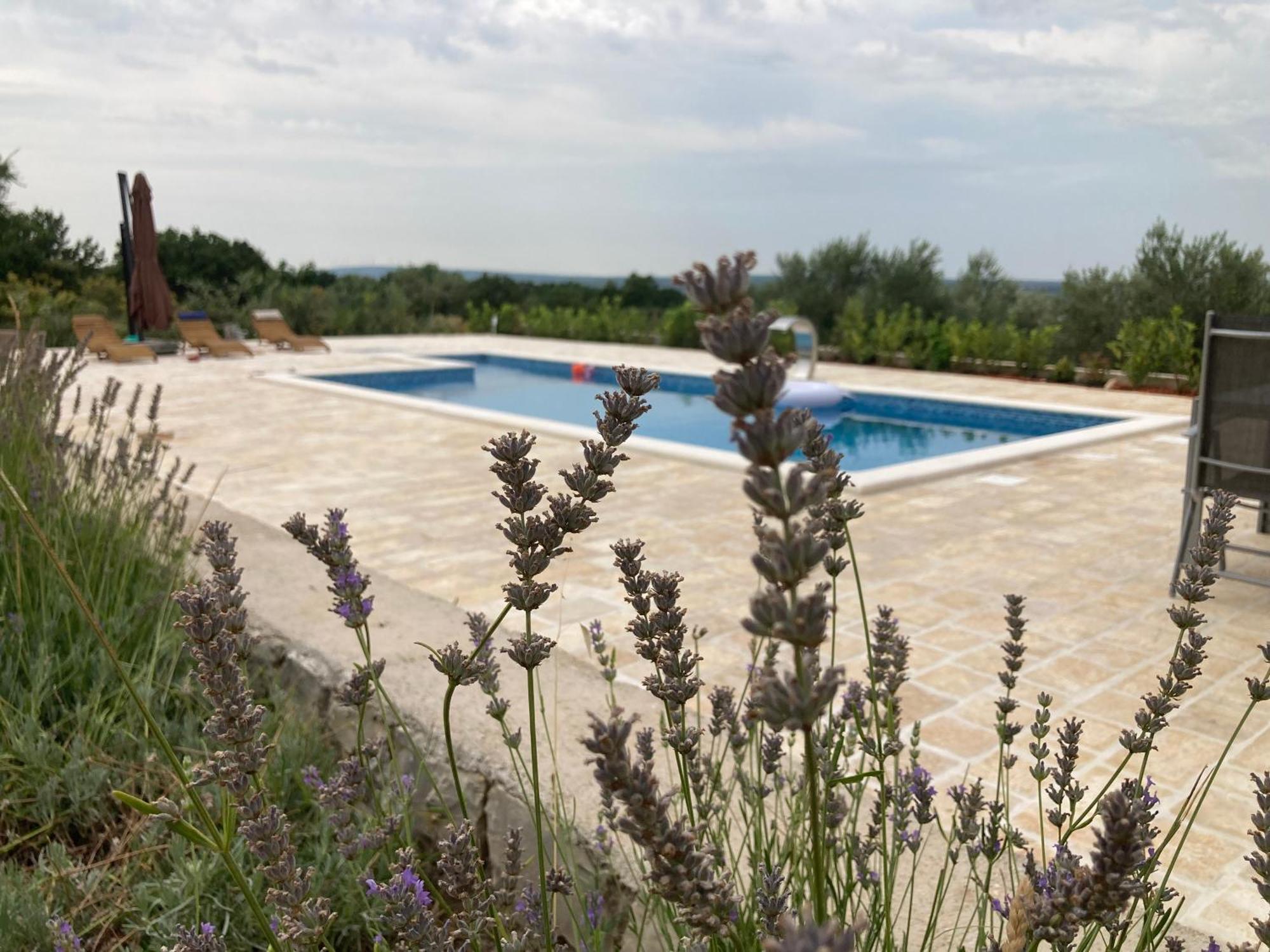 Villa Doci Ζαντάρ Εξωτερικό φωτογραφία